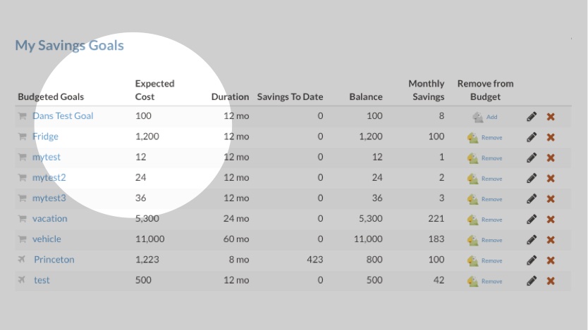 screenshot of your budget plan overview